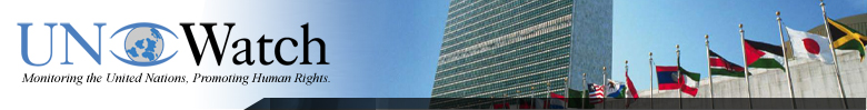 Monitoring the UN - Promoting Human Rights